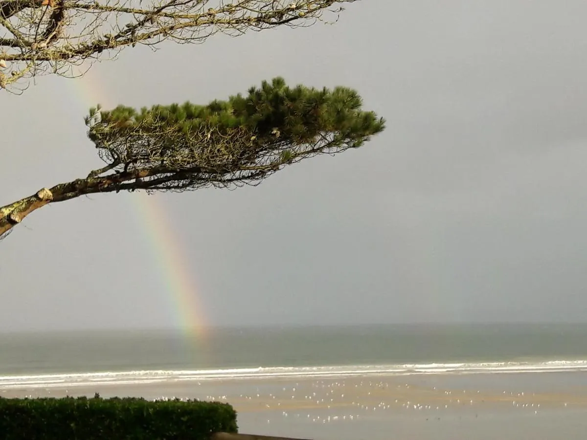 L'Appart Du Ris Douarnenez France